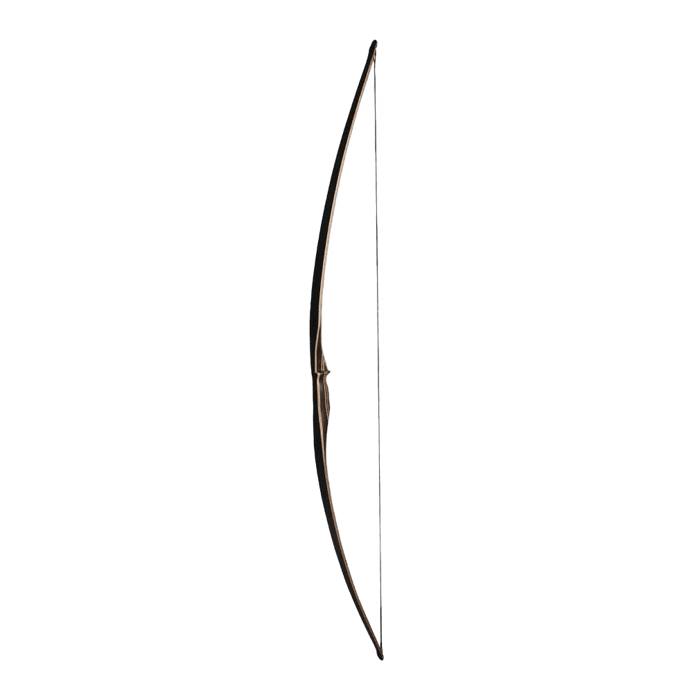 Galaxy Archery Sage Longbow