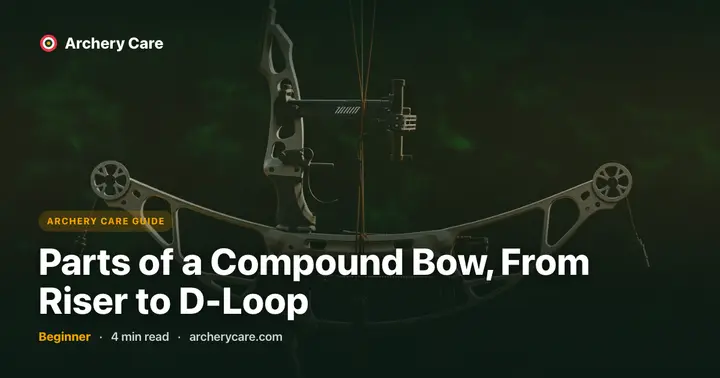 Parts of a Compound Bow, From Riser to D-Loop