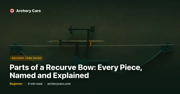 Parts of a Recurve Bow: Every Piece, Named and Explained
