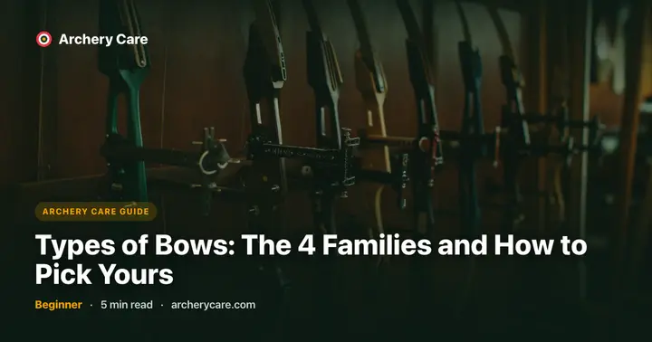 Types of Bows: The 4 Families and How to Pick Yours